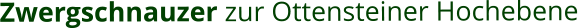 Zwergschnauzer zur Ottensteiner Hochebene